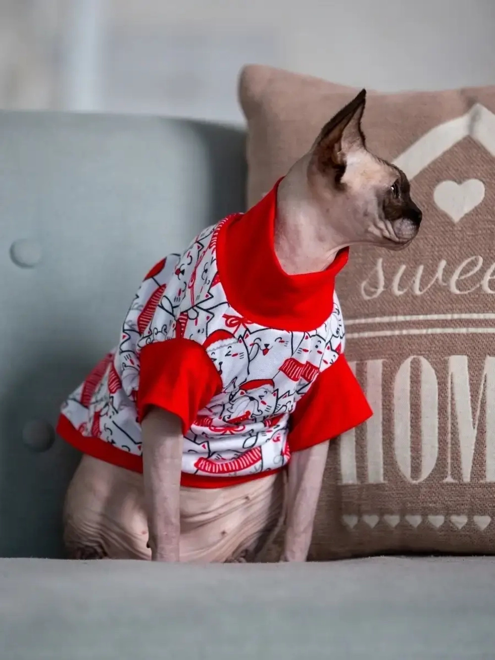 Футболка для собак мелких средних пород и кошек