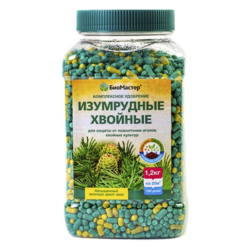 Изумрудные хвойные