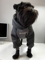 Толстовка с капюшоном с нанесением для собак мелких пород