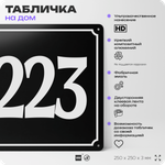 Адресная табличка с номером дома 223, на фасад и забор, черная, 25х25 см, Айдентика Технолоджи