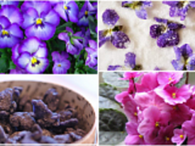 Съедобные цветы