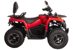 Квадрицикл Bizon YK250 BASIC CARB Красный