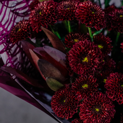 69. Темный стойкий букет с сантини и сафари