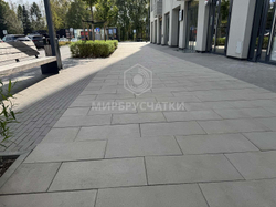Пшеница ЖК, г. Новосибирск