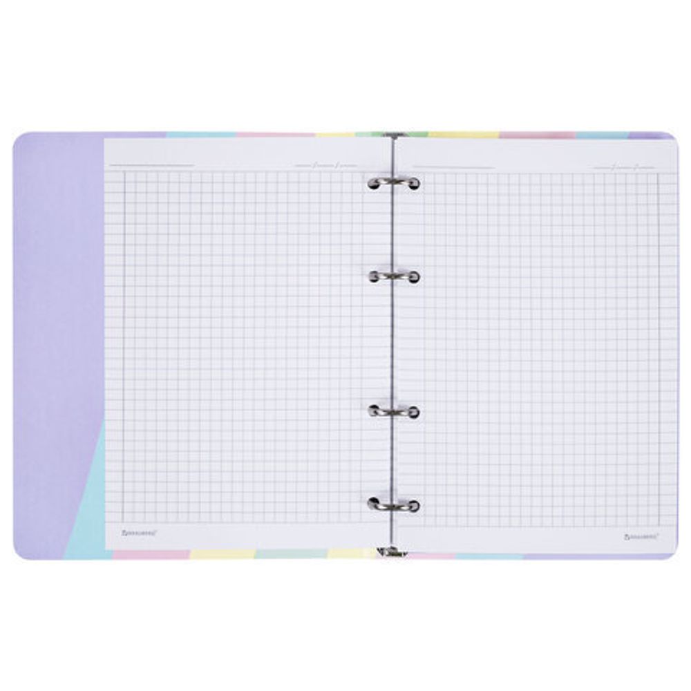 Тетрадь на кольцах А5 160х212 мм, 120 л., картон, матовая ламинация, клетка, BRAUBERG, кросс-серия PASTEL, 405197