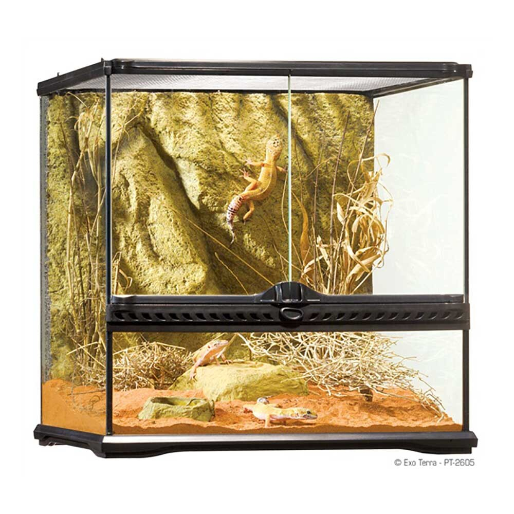 Hagen Exo Terra Terrarium Small Wide - террариум из стекла 45x45x45см с дверцами, покровной сеткой и декоративным фоном