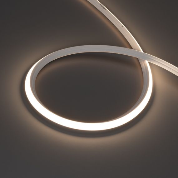 Светодиодная лента герметичная MOONLIGHT-3D-X544-10x10mm 24V Day4000 (8 W/m, IP67, 5m, wire x1) Arlight 041501