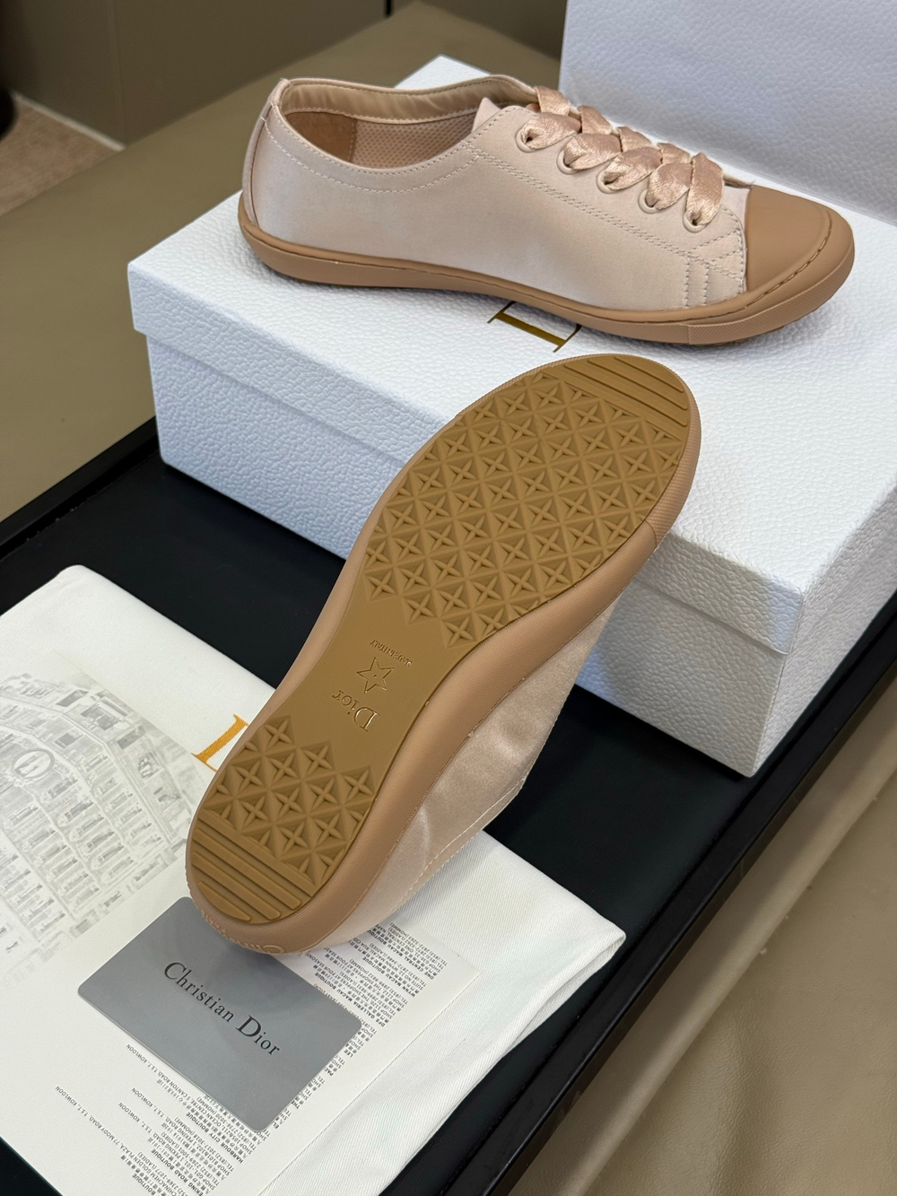 Christian Dior Lucky Sneaker (5 colors)