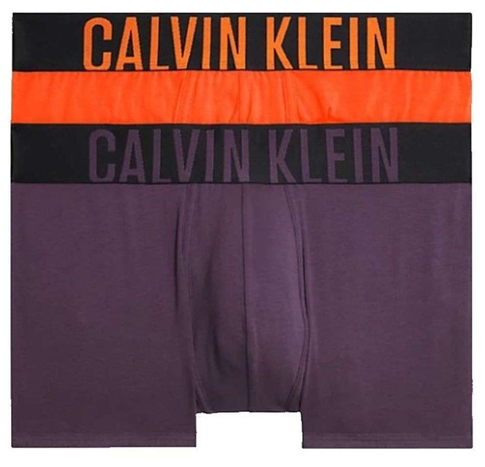 Мужские спортивные боксеры Calvin Klein Intense Power Trunk Shorty 2P - carrot/mysterioso