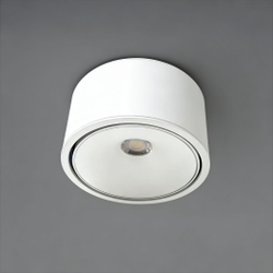 Светильник точечный накладной Wertmark Technical Altair WTA.O06.007.40.12