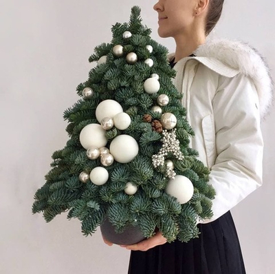 Композиция из живой хвои