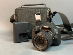 Canon 250D Kit 18-55mm STM 1000 кадров