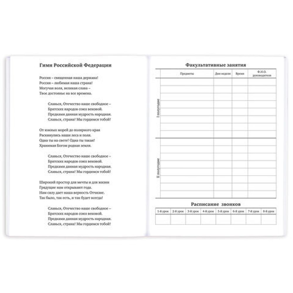 Дневник 1-11 класс 40 л., на скобе, ПИФАГОР, обложка картон, "Енотик", 106582