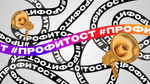 «Профи Тост Универсальный»