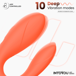 INTOYOU SALMON - Интерактивный вибростимулятор для пар