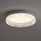 Потолочный светильник FR6193CL-L48W Щедрость / Bounty 100 Вт LED Freya fr6193cl-l48w