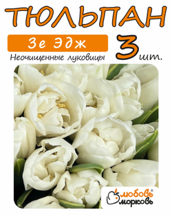 Тюльпан Луковица, Зе Эдж, 3+ шт