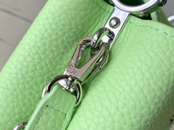Louis Vuitton Capucines Mini