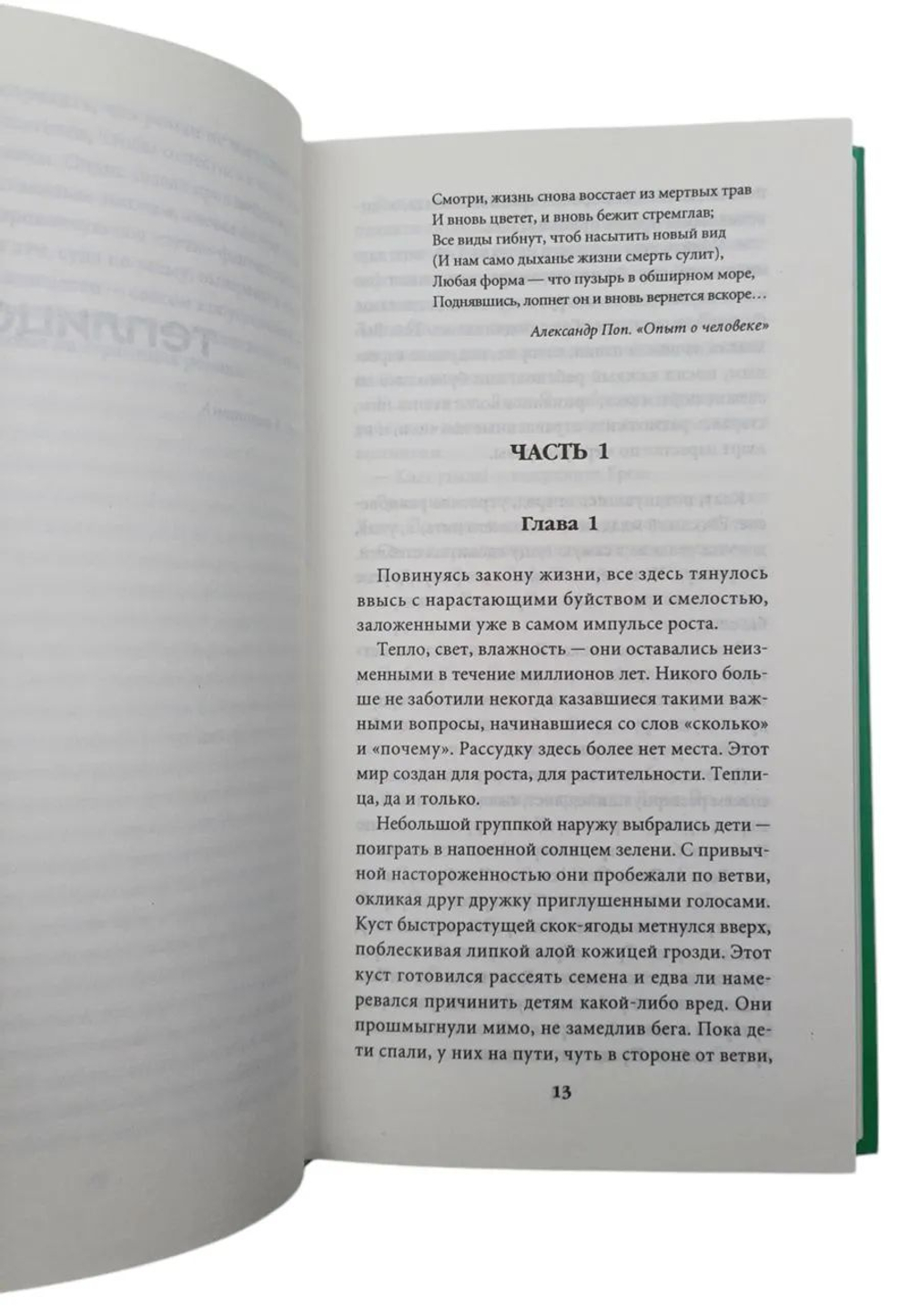 Теплица