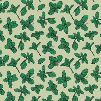 Листья базилика, орегано или майорана на зеленом фоне