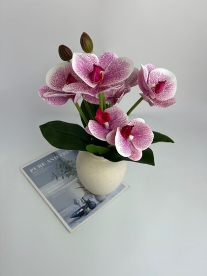 Кустовая орхидея розовая в точку / Арт 2304