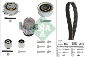 INA - 530055032-INA - Water Pump & Timing Belt Set