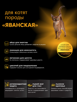 Корм сухой для котят породы Яванская, с индейкой, 2 кг, QUATTRO