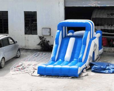 Надувная водная горка «Дельфинчик», 14×3×4 м