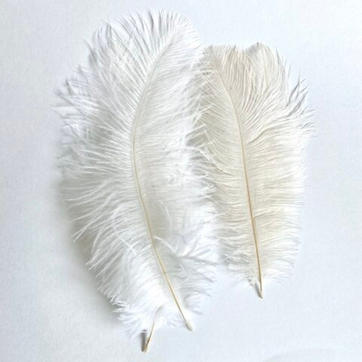 Перо страуса молочно-белое 15 - 20 см. 100шт.