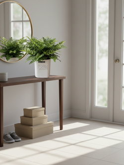 Папоротник Jim Fern горшок с автоп