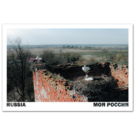 Жилино (Шиллен до 1947 года). Калининградская область