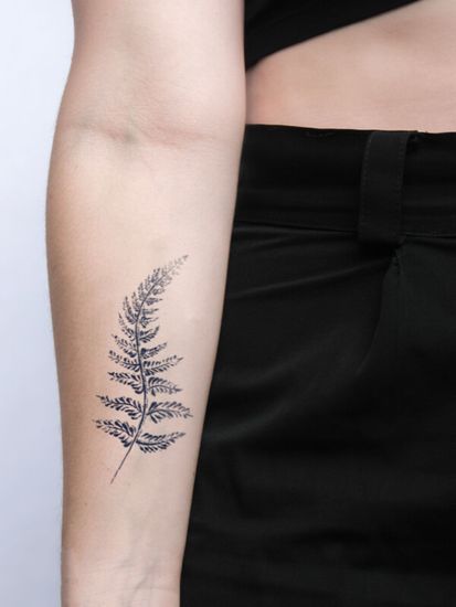 папоротник