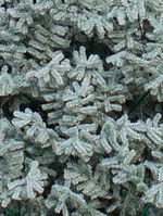 Уличная елка ствольная "Альпийская изумрудная" (пвх бело-зелёная) от 3 до 22 м