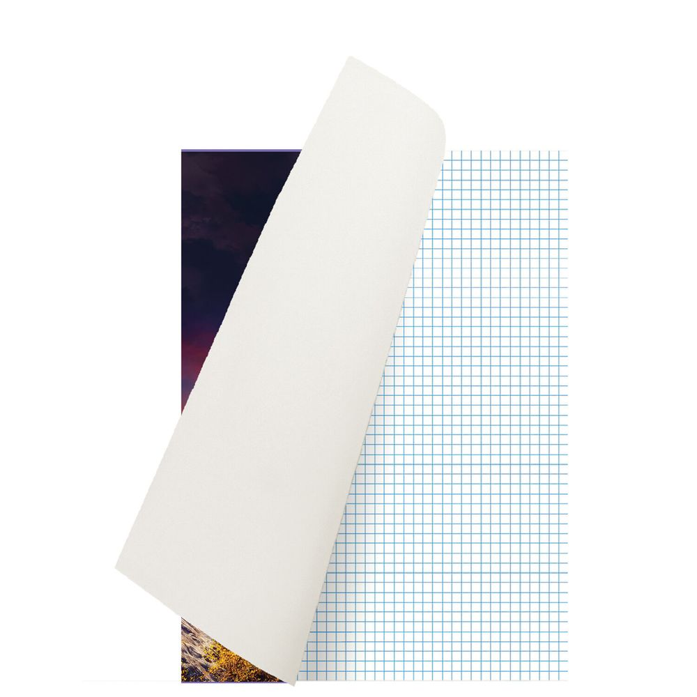 Тетрадь А4, 96 л., BRAUBERG, скоба, клетка, обложка картон, "Journey", 404064, 3шт