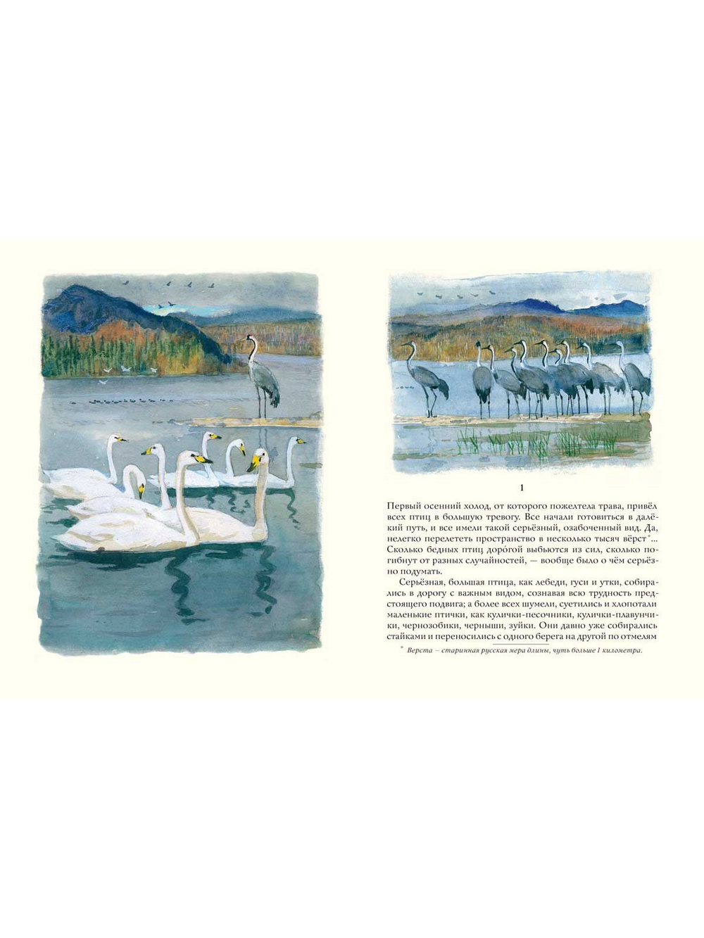 Серая шейка. Мамин-Сибиряк Д.