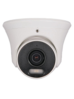 Видеокамера IP TSi-Ee50FPN