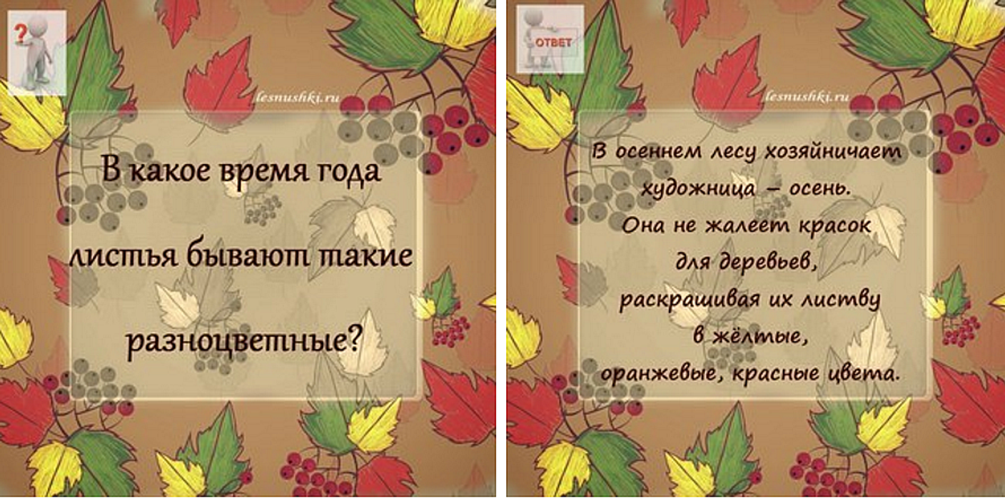 Изучаем листья. Первый урок