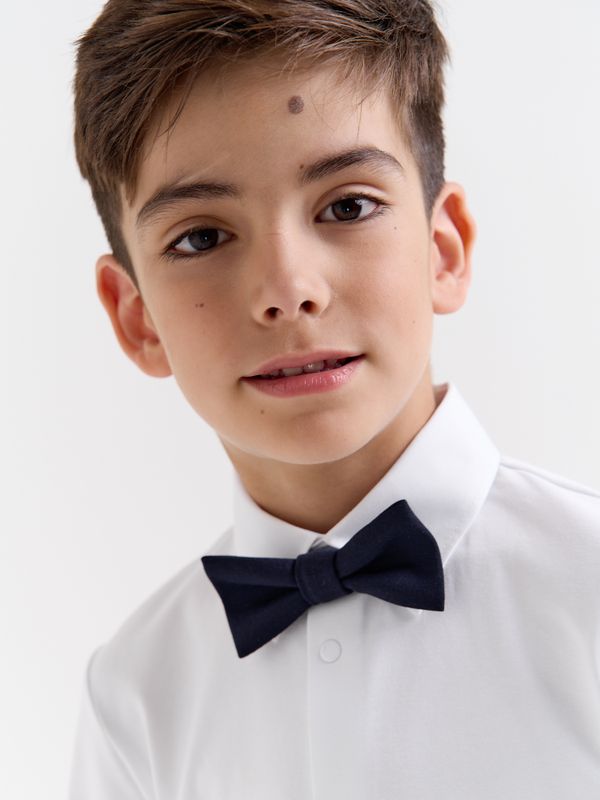 Галстук-бабочка 