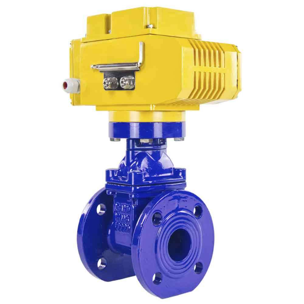 Wedge gate valve 30c939r blue Elephant-GGG50-EPDM-F4-BLUE PSI232 class 150 T≤230-248°F flange connection, with rubber lined wedge EPDM, electric actuator Elephant MT-110/220, 110/220V