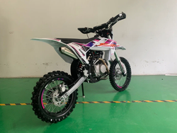 Питбайк JHL Z140E Pro (YX1P56FMJ)