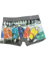 Мужские трусы боксеры L/50, хлопок, Enrico Coveri Италия