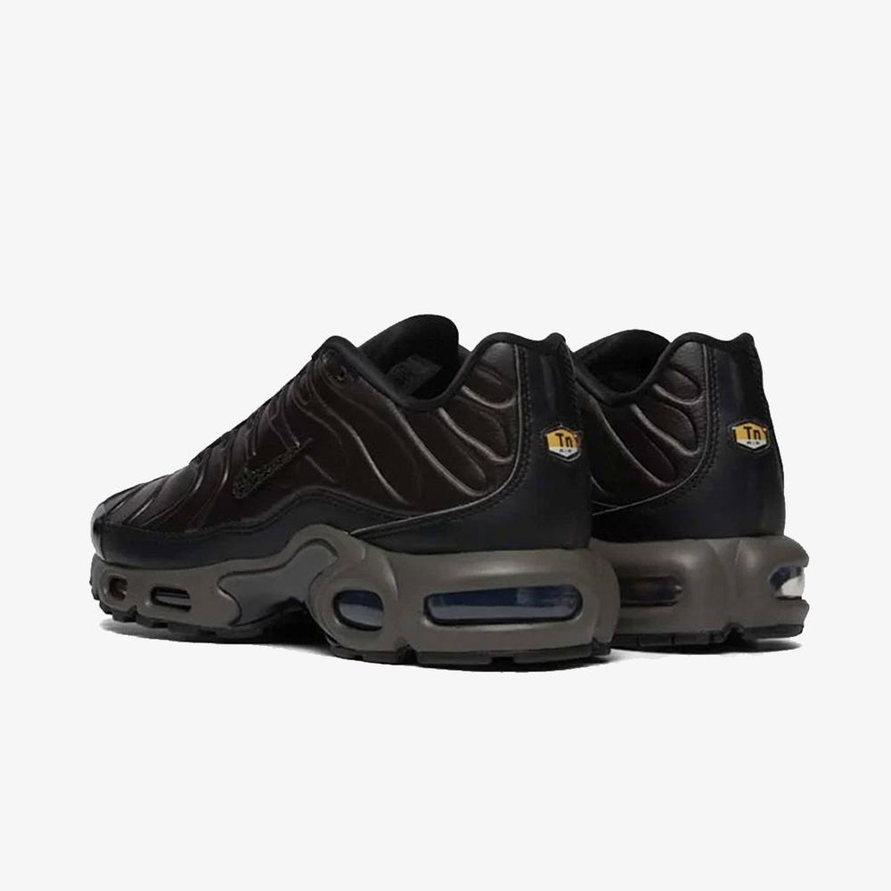 Nike Air Max Tn Plus Premium Paris