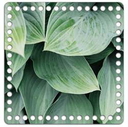 Донышко Принт 20*20см