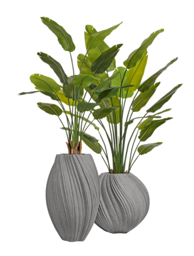 Композиция со стрелициями в кашпо Treez Effectory Dune Дымчато-серый песок