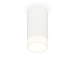 Ambrella Комплект накладного светильника с акрилом Techno XS8161002