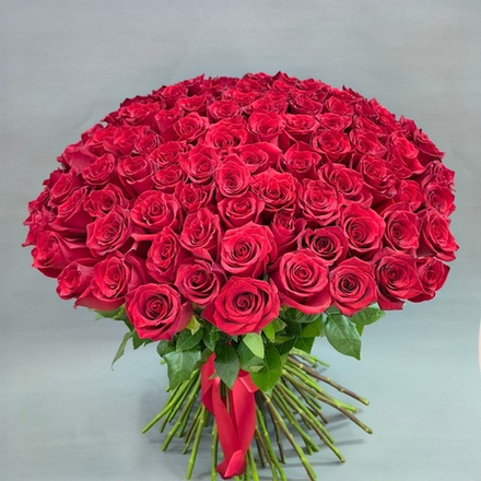 Букет из 101 розы сорта "Эксплорер" под ленту (Эквадор 70 см)