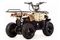 Квадроцикл MOTOLAND 110 Rider (2021 Г.)