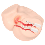 Телесный полуторс с двойным слоем материала и вибрацией Vanilla Onahole Real Vagina (Цвет: телесный)