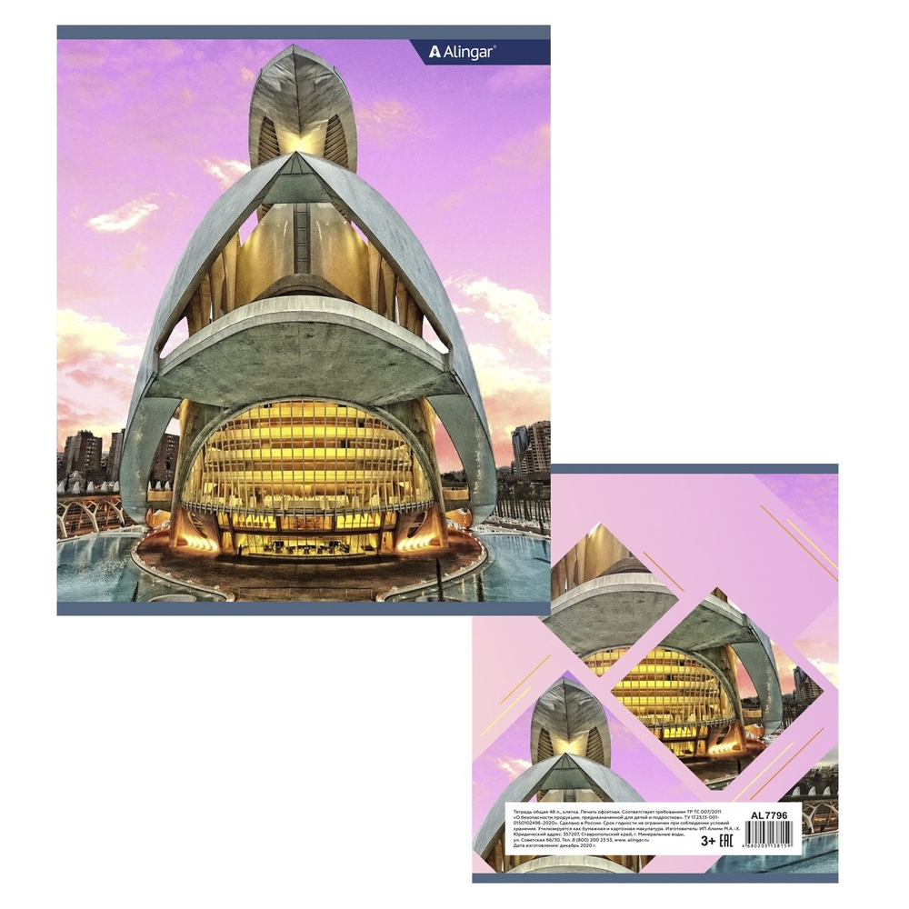 Тетрадь 48л., А5, клетка, Alingar " Архитектура города", скрепка, мелованный картон, блок офсет, 4 дизайна в пленке т/у