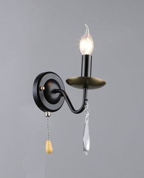 6810/1W BK+COP (1/10) Настенный светильник RL